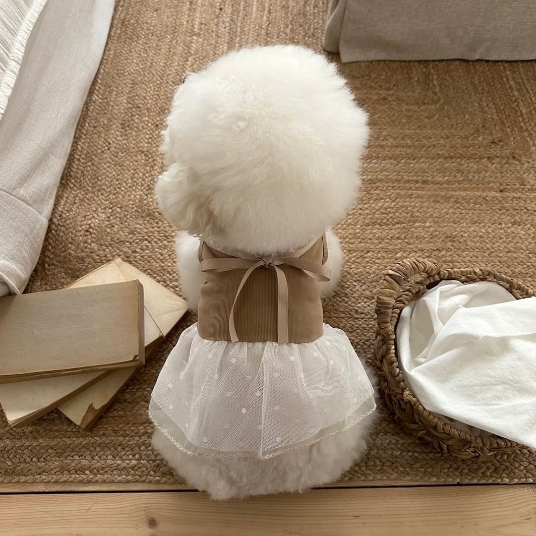 Wiosenna i letnia koronkowa su – Lace Teddy Lingerie recenzja i cena