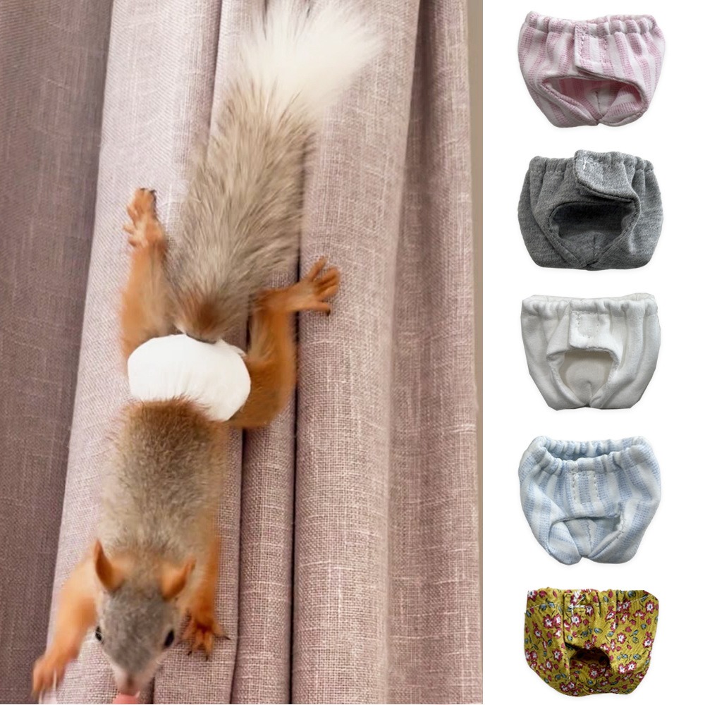 Chłonne pieluchy dla wiewiórek – Period Panty Absorbent recenzja i cena